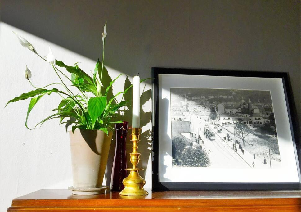 Central 2Br With Balconies And Art In Historical University Area Bergen Extérieur photo